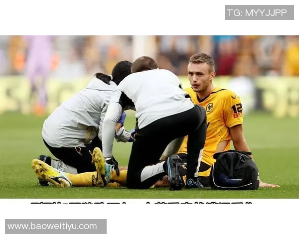 英超羽毛球热潮下北京羽毛球队边路渗透战术解析与展望 英超羽毛球热潮下北京羽毛球队边路渗透战术解析与展望