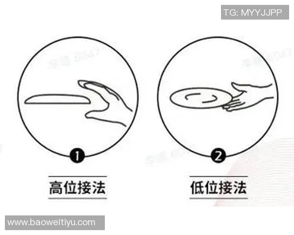 运动飞盘新手必看入门指南助你快速提升个人技能与竞技水平 运动飞盘新手必看入门指南助你快速提升个人技能与竞技水平
